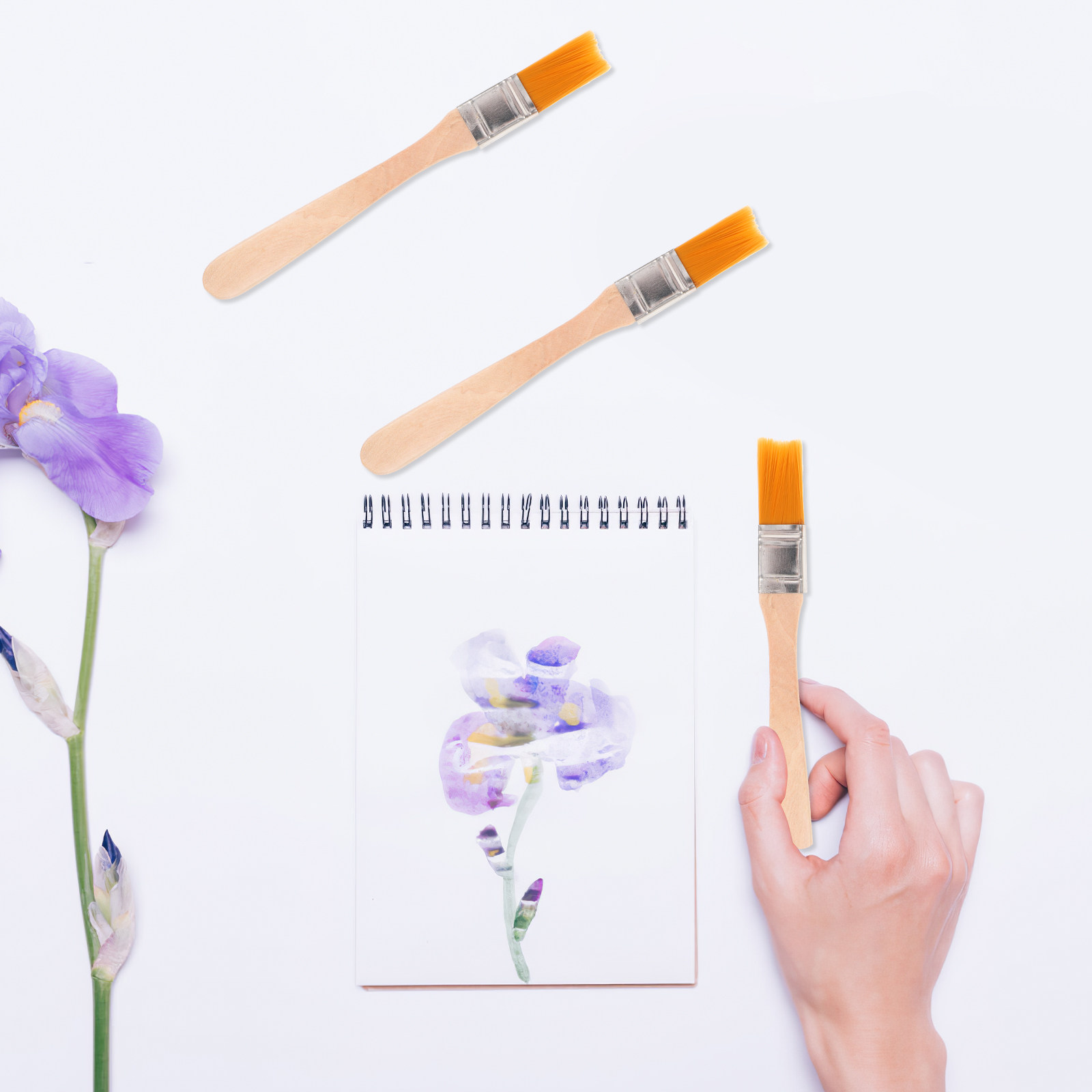 6Pcs 브러쉬 세트 나일론 강모 페인트 브러쉬 나무  - Brush Bristle Set 리뷰 및 가격